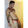 Breedwell Harnais Daycrawler Breedwell Noir-Orange